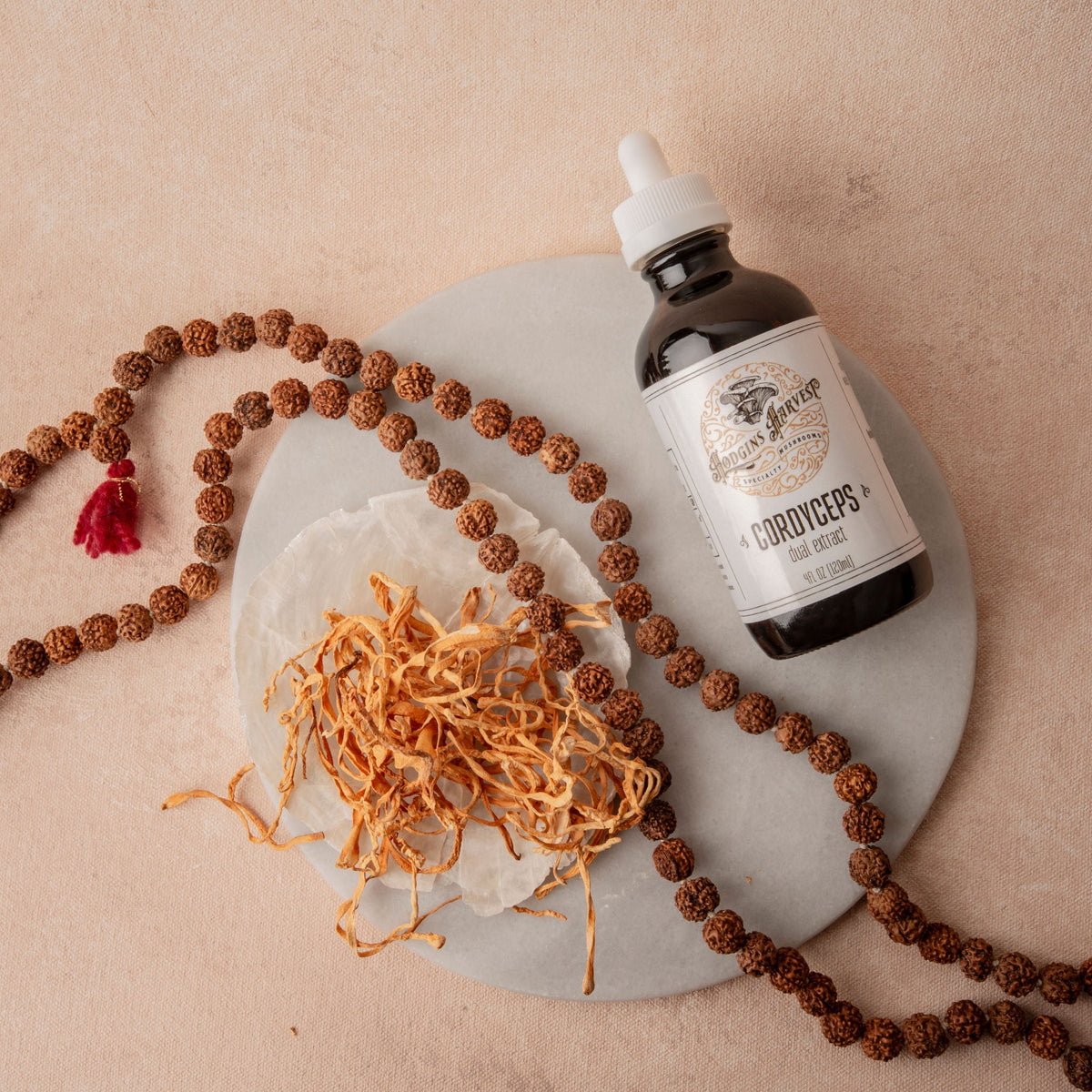 Cordyceps Dual Extract Tincture